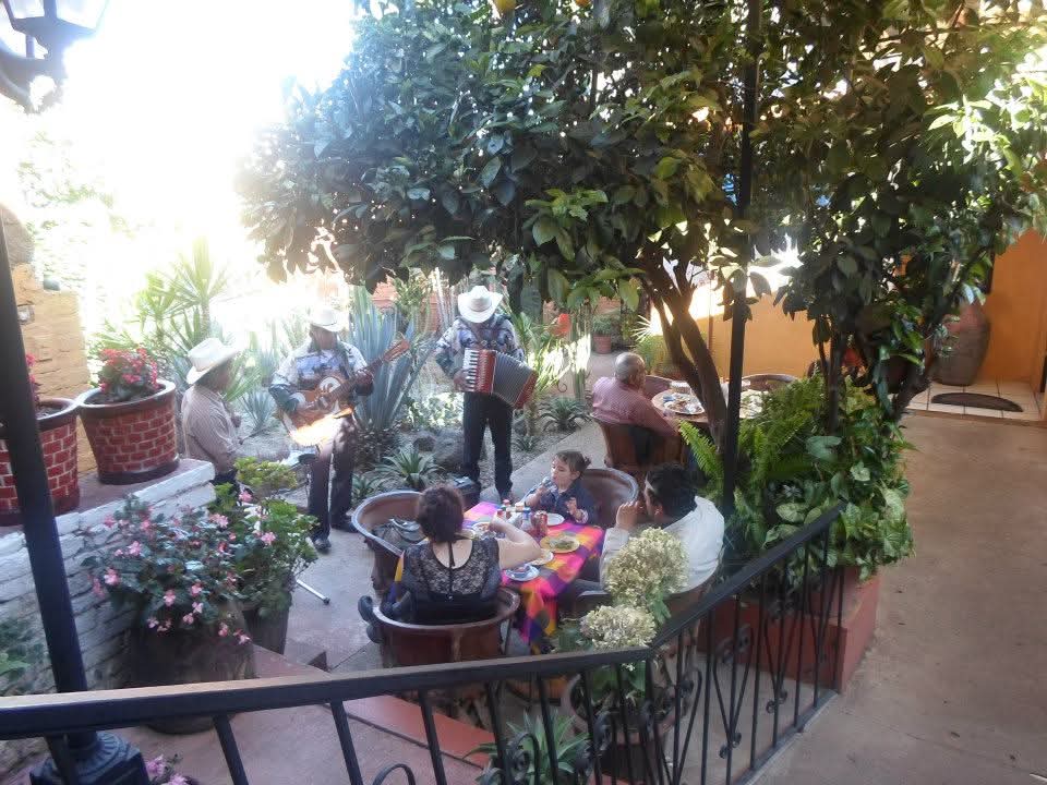 Cocteles y ambiente